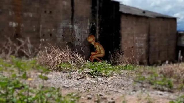 Site of the Alleged Varginha ET Sighting Becomes Tourist Attraction.

The city government has negotiated the purchase of the area where the alleged extraterrestrial was reportedly seen and plans to build a memorial to commemorate the case that reshaped the city's identity.