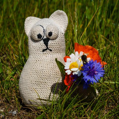 Interessante Frühlingsblume