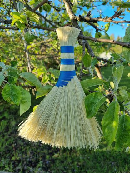 A hand broom i light yellow Tampico fibre and light blue thread. It hangs in the evening sun from an apple tree and the sun beams plays in the fibres.