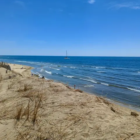 Plage de l'Espiguette