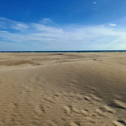 Plage de l'Espiguette