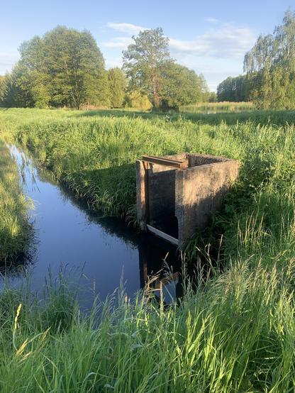 Budowla hydrotechniczna, jakiś spust wody czy gródź, betonowa. W tle staw i drzewa