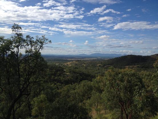An outlook over the Central Queensland landscape from an elevated point, seeing just over the tops of the trees, with mountains in the distance