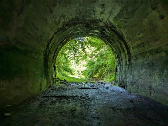 A shot looking out of a tunnel into the green wilderness beyond