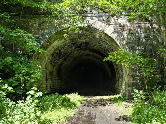 An image of the tunnel from the outside, looking in. There is only darkness inside.