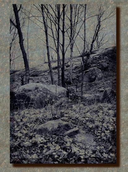 The composition emulates alternative processing on aged,  dull green paper. It depicts bare trees and fallen leaves on the slope of a rock outcrop, typical of Northern Ontario.