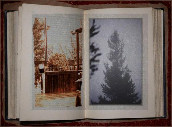 A photo of an open book has been modified so that on the left page is a winter scene photo in brown and pale grey-blue of a backyard deck, in the foreground, with an arched wooden arbour covered in dry leaves and vines in the background.
On the right page is a monochrome blue-grey photo of a silhouette coniferous tree in a fog-mist.