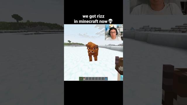 Minecraft Rizz Moment