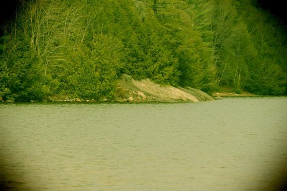 The green tones emulate a plastic camera - in camera effect. The shot is low so that the foreground is filled with the lake's surface. Dense growth of a mix of trees reaching all the way to the shoreline, a small are of typical Northern Ontario rock outcrop slopes towards the water's edge.
