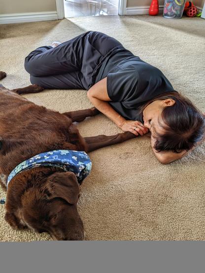 A chocolate lab and a woman are sleeping on the carpet.