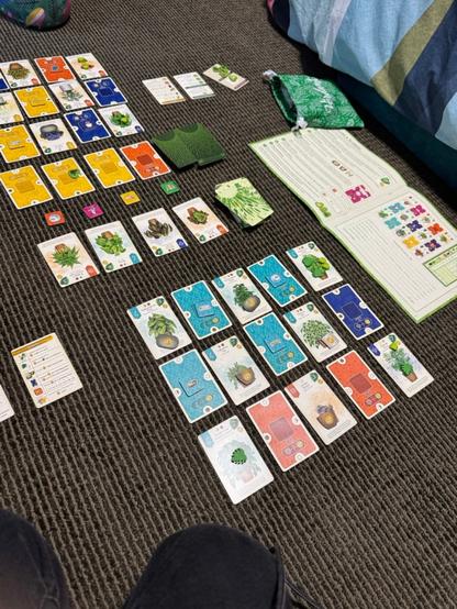 Two grids of colorful cards with wooden tokens on top of them are arrayed on a brown carpeted floor. Next to the spread is an open game instruction manual. A colorful bedspread hangs down in the background.