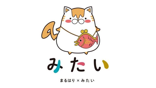 「WINK×みたい・まるはり」コラボTV番組「めっちゃ みたい」スタート！ 出演する、みたい・まるはり編集部スタッフをご紹介 | みたい -まるはり×みたい-｜みつけて播磨（姫路、加古川など）情報サイト（旧：姫路みたい）