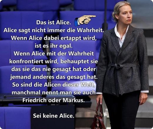 Alice  Weidel mit Handtasche im leeren Plenarsaal, eine Hand zeigt symbolisch mit dem Finger auf sie. Dazu steht:

Das ist Alice. 
Alice sagt nicht immer die Wahrheit. 
Wenn Alice dabei ertappt wird, 
ist es ihr egal. 
Wenn Alice mit der Wahrheit 
konfrontiert wird, behauptet sie 
das sie das nie gesagt hat oder 
jemand anderes das gesagt hat. 
So sind die Alicen dieser Welt,
manchmal nennt man sie auch 
Friedrich oder Markus. 

Sei keine Alice.