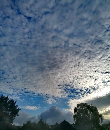 Das Wolkenbild zeigt eine eindrucksvolle Himmelsformation mit mehreren Wolkenschichten:
Im oberen Teil des Himmels dominieren Altocumulus-Wolken – das sind mittelhohe, schollenartige Wolken, die wie ein dichter Teppich wirken. Sie bedecken einen großen Teil des Himmels und lassen nur stellenweise blauen Himmel durchscheinen.
In Bodennähe und am Horizont sind Cumuluswolken zu sehen – große, bauschige Haufenwolken mit deutlichen Konturen, die durch ihre dunklere Färbung auf mögliche Niederschläge hindeuten.
Die Lichtverhältnisse und die teilweise Auflockerung der Wolkendecke lassen auf eine wechselhafte Wetterlage schließen – vielleicht ein bevorstehender Wetterumschwung oder ein Tag mit Sonne und Schauern im Wechsel.

Insgesamt ein faszinierendes Zusammenspiel von Struktur, Licht und Tiefe.