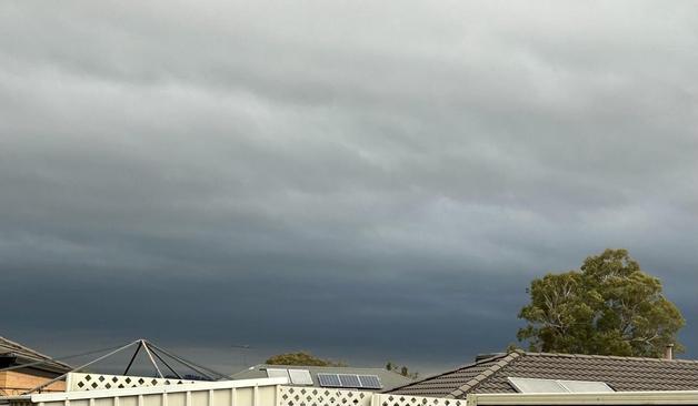 Above the roofs & fenceline at the back of my garden is the dark grey cloud of a storm coming, fading to lighter grey. The eucalyptus tree at the end of my street can be seen above one roof in the right corner.