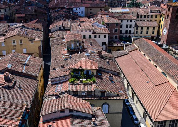 Blick von einem Aussichtsturm auf die Dächer eng stehender Wohnhäuser und einer Kirche auf der rechten Seite. /
View from an observation tower of the roofs of closely spaced residential buildings and a church to the right.