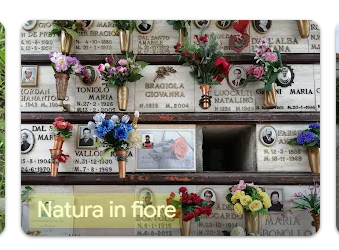 Foto di una parete di lapidi cimiteriali con i fiori posti dai parenti. Google foto la cataloga come "Natura in fiore"