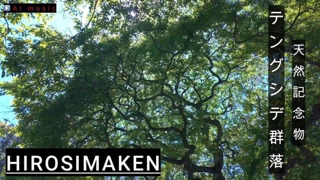 ［広島県]北広島町大朝にある天然記念物テングシデ群落に圧巻