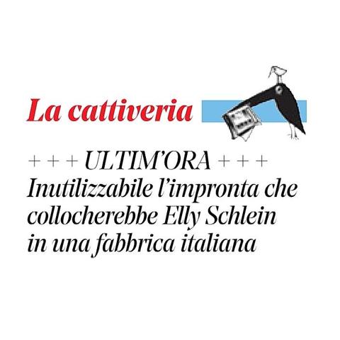 Ultim'ora: "Inutilizzabile l'impronta che collocherebbe Elly Schlein in una fabbrica italiana".