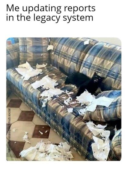 Picture of an angry cat among a lot of ripped up paper on a sofa.

Caption: Me updating reports in the legacy system