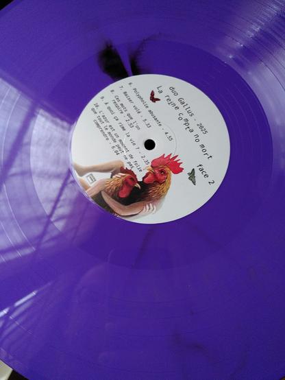 Notre album « La reine compta no mort » est disponible, au format vinyle, chez quatre disquaires du 18ème arrondissement de Paris :

. Le rideau de fer 12, rue André del Sarte
. Balades sonores 8, rue Pierre Ricard (https://www.baladessonores.com/la-boutique/duo-gallus/la-reine-compta-no-mort-purple-lp/)
. The Mixtape 32, rue des Trois Frères
. Soulableta 47, rue Marcadet.

🙂 🎶 📀 

#musique #vinyle #disque #paris #paris18 #chanson #folk #blues