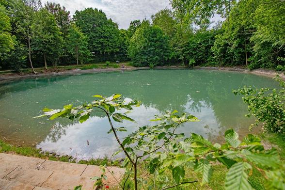 Ein kleiner Teich umgeben von üppigem, grünem Wald, mit Bäumen, die sich im Wasser spiegeln und ein Blatt im Vordergrund. Ein paar Menschen sitzen am Ufer des Teiches.