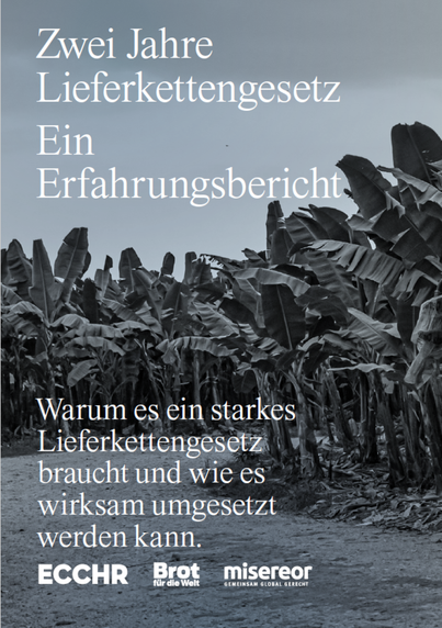 Titelbild einer Broschüre mit dem Text: „Zwei Jahre Lieferkettengesetz – Ein Erfahrungsbericht. Warum es ein starkes Lieferkettengesetz braucht und wie es wirksam umgesetzt werden kann.“ Im Hintergrund ist eine Plantage mit Bananenstauden und ein unbefestigter Weg zu sehen. Unten stehen die Logos von ECCHR, Brot für die Welt und Misereor. Das Bild ist in Grautönen gehalten.