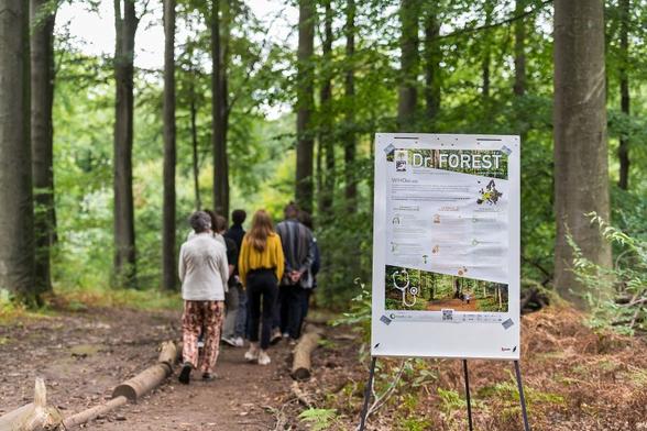 Personen laufen durch einen Wald. Foto: Aurore Delsoir