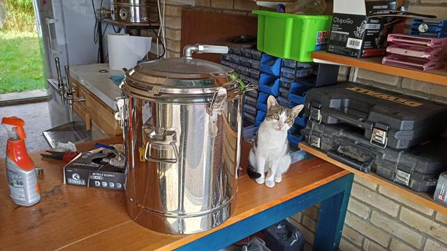 A small tabby kitten sitting next to a stainless urn on a workbench.