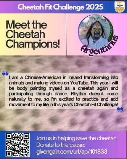 Cheetah Fit Challenge 2025 header with logo. Title reads "Meet the Cheetah Champions!" with a photo of Argentarius, who is painted like a cheetah wearing cat ears and holding a floral parasol.
On a cheetah print background is a quote from them: "I am a Chinese-American in Ireland transforming into animals and making videos on YouTube. This year I will be body painting myself as a cheetah again and participating through dance. Rhythm doesn't come naturally to me, so I'm excited to practice and add movement to my life in this year's Cheetah Fit Challenge!"
QR code leads to the donation page. Text beside: Join us in helping save the cheetah! Donate to the cause: givengain.com/url/ap/101833