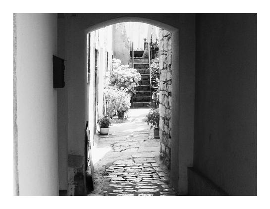 Imagine a narrow alleyway, seen from a slightly low angle.  A stone archway frames the entrance, leading to a cobblestone path.  Rough stone walls line the passage, with plants and a wooden ladder adding texture and life.  The light is soft, creating a sense of intimacy.  The path extends into the distance, disappearing beyond the archway.  The overall feeling is one of quiet seclusion, a hidden passage within a larger urban environment.  The contrast between the rough stone and the softer plants creates visual interest. The image is in black and white, enhancing the mood of quiet contemplation.