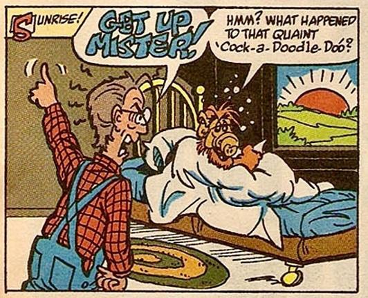 Narration: “sunrise!” From our bedroom window, the sun is shining over a hill and Willie in the final shirt and overalls, angrily points left arm and finger upward as he shouts, “GET UP MISTER!” A GROGGY ALF RAISES HIS HEAD AND SAYS, “HMM? WHAT HAPPENED TO THAT QUAINT COCK-A-DOODLE-DOO?“