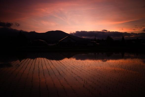 The rose-gold sun sets over a rice paddy that is reflecting the mountains and clouds in the background.