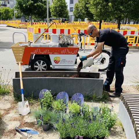 Das Bild zeigt den Hannah-Arendt-Platz. Im Vordergrund füllt Sabi Erde in ein Blumenbeet, davor stehen Pflanzen, die darauf warten, eingesetzt zu werden. Dahinter steht das Gießrad. Im Hintergrund sieht man Bäume und Bauzäune. Es ist ein sonniger Tag.