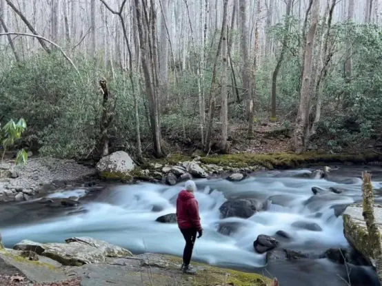 A woman looks at the Little River rushing over rocks in Great Smoky Mountains National Park.