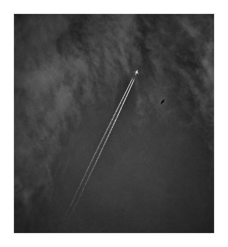 The image is a black-and-white photograph of an airplane flying through the sky, leaving behind two contrails. It is almost diagonal and is flying up towards the right hand side. The sky is dark and the there are whispy clouds around the top and left hand side. There is a silhouette of a bird in flight to the right of the plane.