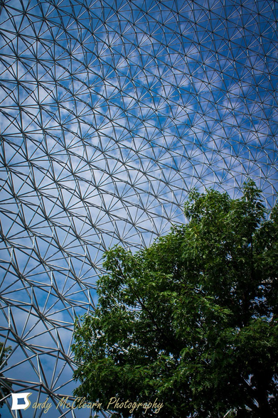 A tree under a geodesic dome seen from below.