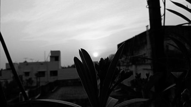 Black and White Sunset