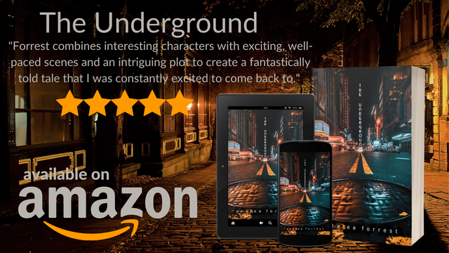 The Underground by Azalea Forrest. The cover is of a city a night, zoomed in on a manhole cover. 5 stars, available on Amazon. “Forrest combines interesting characters with exciting, well-paced scenes and an intriguing plot to create a fantastically told tale that I was constantly excited to come back to.”