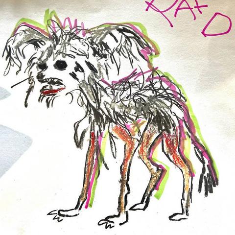 Cover of Magi Merlin's "A Weird Little Dog"