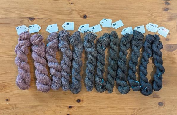 Twelve skeins of handspun yarn in a gradient from pink through dark blue.