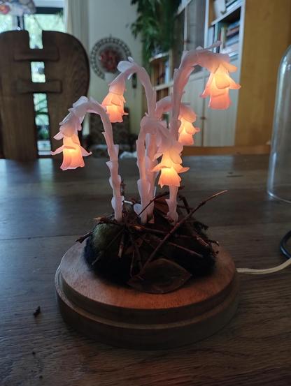 A sculpture of Monotropa uniflora stands on a table. The flowers light up in a soft orange-pinkish hue. At the base of the flowers, twigs and paper leaves are scattered atop of the moss made out of wool