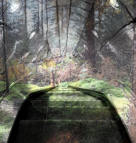 Image: Mary Clarke: Melting, Moving, Mesmerising No. 1 |  photographic image, but one that blends a view down the steps of an escalator with a passage into a forest; the steps in front of us become overgrown with moss as they descend; over the escalator and descending with it is what at first glance seems to be a glass tunnel sheltering us from the outside, but in fact it is again a blending of the manufactured and the natural as it is farther from us; it’s a sunny day in the – largely conifer – forest • “This latest exhibition of new work by Navan based artist Mary Clarke explores the themes of climate change and the environment. Mary’s collection of vibrant, layered and abstracted images confronts the viewer, both subtly and directly, in an effort to provoke a reaction. Her work engages with the audience’s imagination, to stimulate conversation, in the hope of igniting positive action.  Presented by Meath County Council Arts Office, this collection of thought-provoking photographic…”