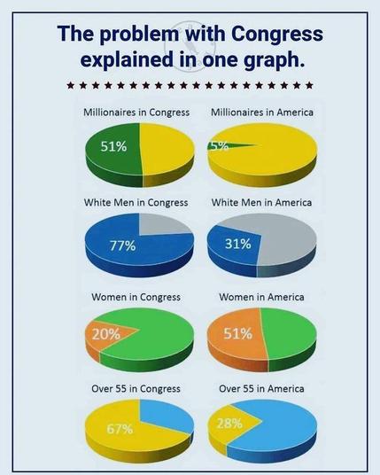 Millionaires in Congress: 51%
In the US: 5%
White men in Congress: 77%
In the US: 31%
Women in Congress: 20%
In the US: 51%
Over 55 in Congress: 67%
In the US: 28%