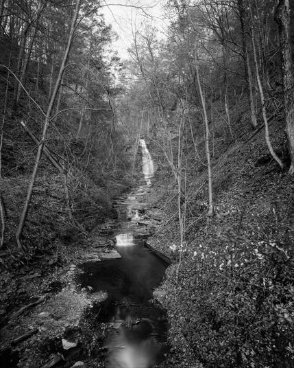 Maplewood Creek, 2025-04-29 6:13am.  Town of Ulysses, Finger Lakes, Upstate NY.

Camera: Gowland 8x10. Lens: Wollensak Series III f/12 159mm. Film: Fomapan 100 rated at 400. Exposure: 42s at f/45. HC-110 1+31 10:03 at 21.7 C (per Massive Dev Chart). Scan: Sony A7ii + 50mm macro at f/8.