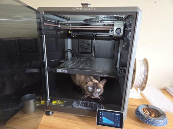 A small siamese cat, know as Marceline, inside an enclosed 3d printer where she's not supposed to be.