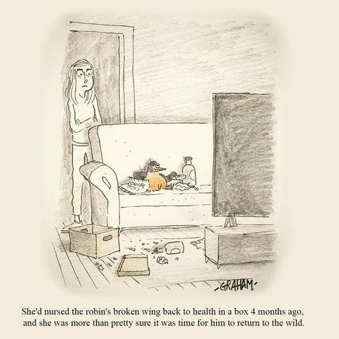 A cartoon illustration of a woman looking at a fat robin on her couch who is eating snacks and watching television. Caption reads "She'd nursed the robin's broken wing back to health in a box 4 months ago, and she was more than pretty sure it was time for him to return to the wild."
