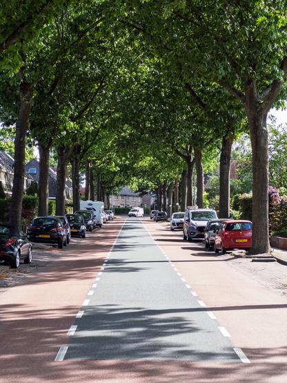 A tree-lined street with parked cars in Huizen, Netherlands.