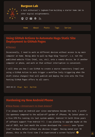 Screenshot of the old look of www.burgeonlab.com.