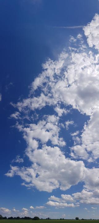 sehr hohes Panoramafoto, unten hauchzart der Wiesenhorizont, darüber riesig blauer Himmel mit weißen Wolken